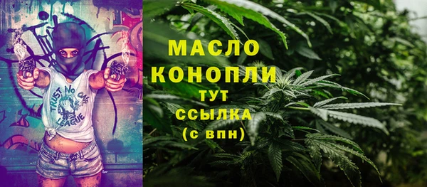 гидра Кулебаки