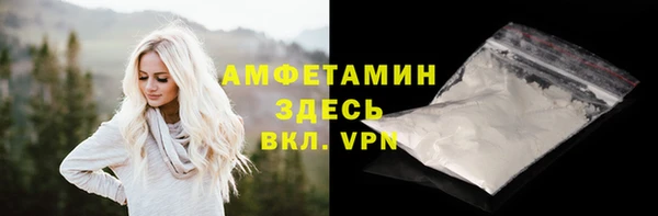 гидра Кулебаки