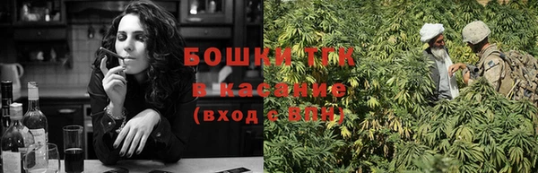 гидра Кулебаки