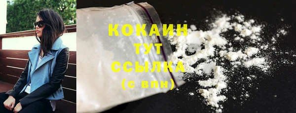 гидра Кулебаки