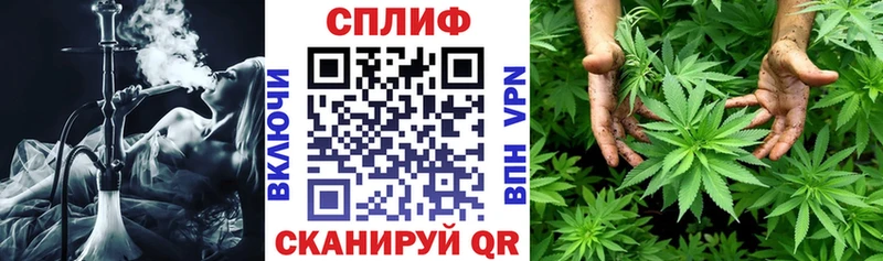 Бошки марихуана VHQ  Купить где  Салехард 